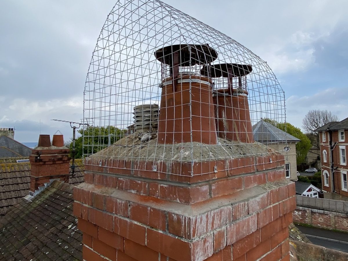 Guarantee - no returning seagulls
