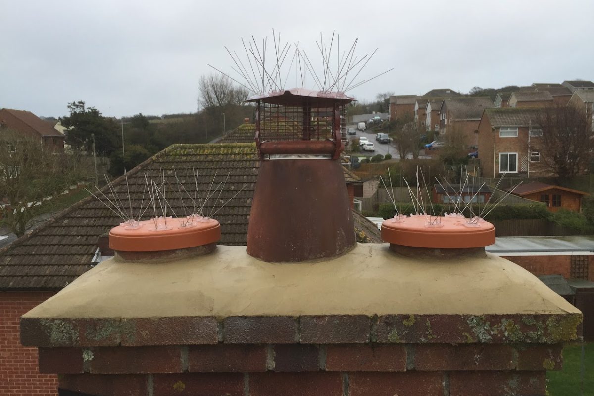 Chimney Repairs